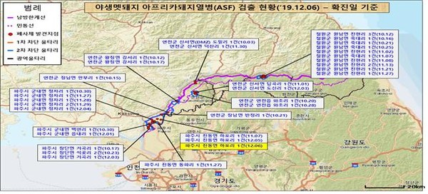 파주시 민통선 내에서 발견된 멧돼지 폐사체에서 아프리카돼지열병이 확진됐다. 지금까지 총 39번이다. (사진제공=농림축산식품부)
