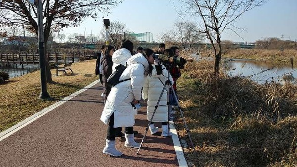 오산시가  오산천과 에코리움 일원에서  ‘2020년 오산천 철새탐조 행사’를 진행하고 있다.(사진제공=오산시청)