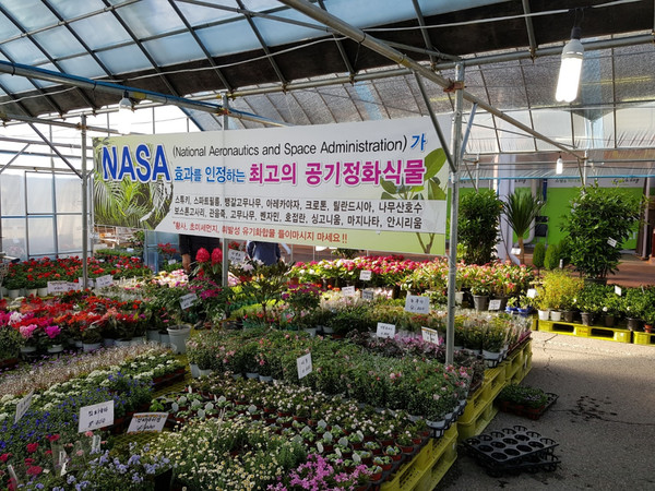 성남시는 신종 코로나바이러스 감염증(코로나19)으로 침체한 화훼농가를 살리기 위한 직거래 장터가 오는 5월 17일까지 두 달여 간 분당구 구미동 성남농수산물종합유통센터 야외행사장에서 열린다고 15일 밝혔다. (사진제공=성남시청)