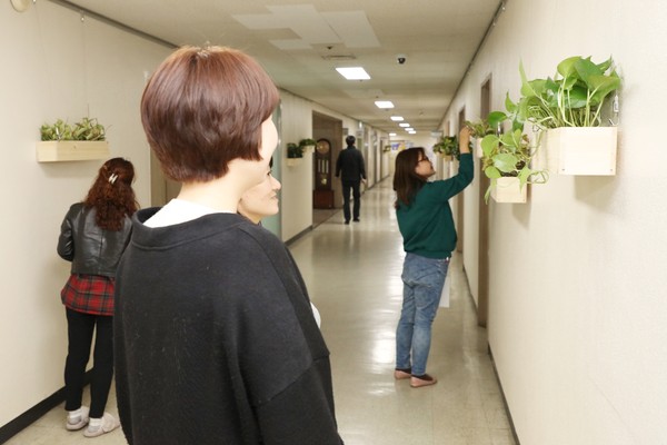 안양시는 두 달 가까이 계속되는 코로나19 사태로 공직자들이 피로가 누적되자 심리적 안정화를 위해 공기정화식물을 배치했다. (사진제공=안양시청)