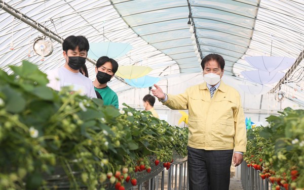 용인시는 백군기 시장이 코로나19로 어려움을 겪고 있는 관내 청년 농가 4곳을 차례로 찾아 이들의 애로사항을 듣고 격려했다. (사진제공=용인시청)