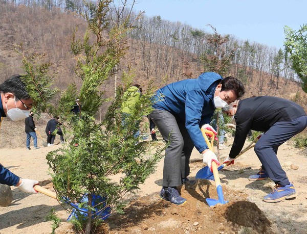 용인시는 제75회 식목일을 맞아 백군기 용인시장을 비롯해 시 산림조합과 시 관계자 등 50여명이 참여한 가운데 처인구 이동읍 묵리 성모영보수녀원 일대에 이팝나무와 편백나무 900그루를 심는 행사를 열었다. (사진제공=용인시청)
