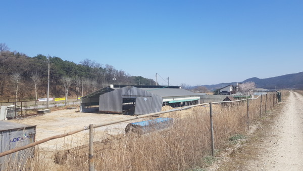 (사진=김광섭 기자)