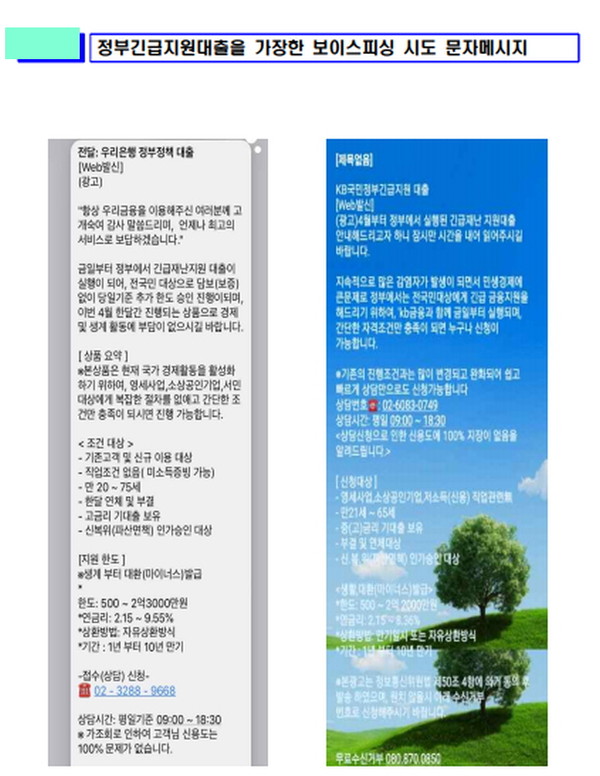 (자료=금감원)