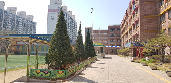 평택시는 지난 3월 평택성동초등학교, 가내초등학교, 소사벌초등학교, 태광중학교 등 4곳에 총 2485㎡ 면적에 소나무, 주목, 산수유, 철쭉류 등 3395여 그루의 수목을 식재해 2486명의 학생들이 자연친화 체험학습의 기회를 누릴 수 있게 학교숲 조성을 완료했다. (사진제공=평택시청)