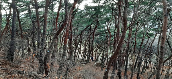 (사진제공=수원시청)