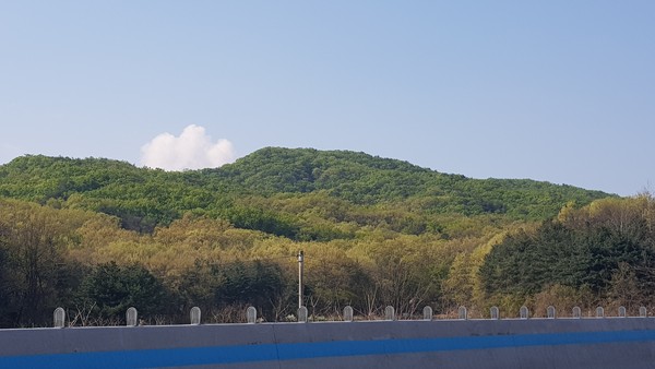 (사진=김광섭 기자)