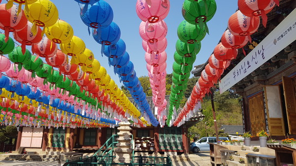 (사진=김삼철기자)