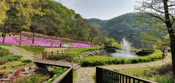 파주시는 숲속명상과 숲길걷기 등 자연속에서 몸과 마음의 조화와 균형을 되찾는 체험이 가능한 율곡수목원 산림치유 프로그램 운영을 오는 13일부터 재개키로 했다. (사진제공=파주시청)