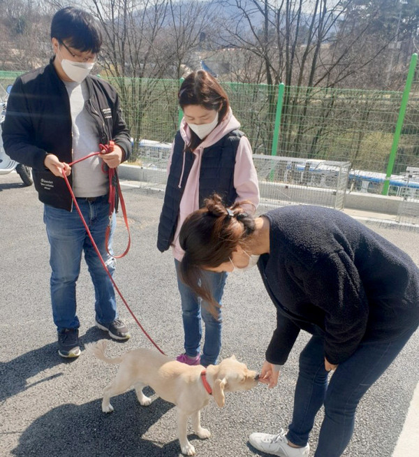 용인시가 유기동물 입양 문화 확산을 위해 유기견 등을 입양할 경우 상담과 교육은 물론 비용까지 지원하고 있다.(사진제공=용인시청)