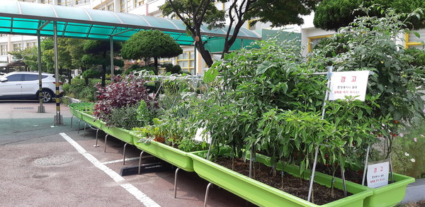 중구는 지난 11일 도시농업 활성화 사업의 일환으로 관내 복지시설과 학교, 경로당 등 33개소에 텃밭상자 237개를 지원한다고 밝혔다. (사진제공=중구청)