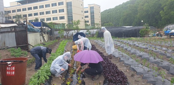 (사진제공=안양시청)