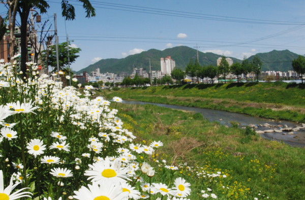 하남시는 경기도 주관 ‘쉼’이 있는 도시공간 조성 시범사업 대상지 공모에서 하남시 덕풍천이 선정돼 사업비 4700만원을 확보 했다. (사진제공=하남시청)