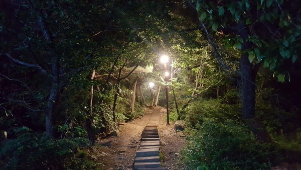 (사진제공=안양시청)