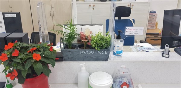 (사진제공=용인시청)