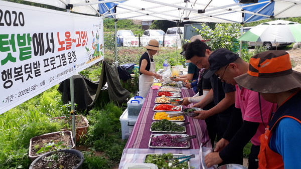고양시가 친환경 도시 혁신과 시민들의 건강한 삶을 위한 다양한 사업을 진행함에 있어 신중년들의 활약이 돋보이고 있다. (사진제공=고양시청)