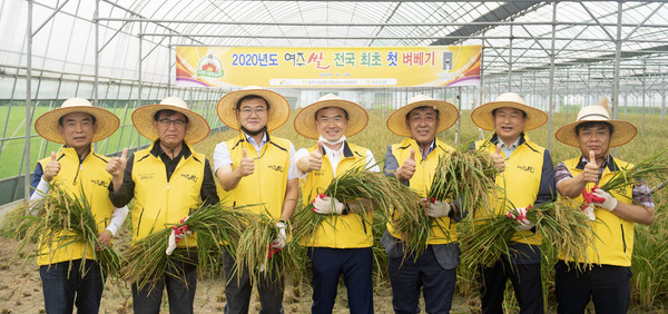 ‘대왕님표 여주쌀’ 첫 벼베기 행사가 26일 오전 여주시 우만동에 있는 홍기완 씨 논(2,500㎡)에서 개최됐다. (사진제공=여주시청)