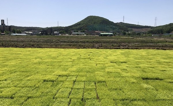 파주시 적성면 장현리 산 73-5필지 외 8필지(1,671,736㎡)의 임야가 토지거래 허가구역으로 신규 지정됐다. (사진제공=파주시청)