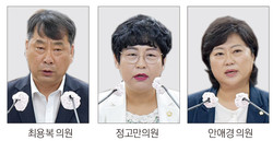 (사진제공=부평구의회)