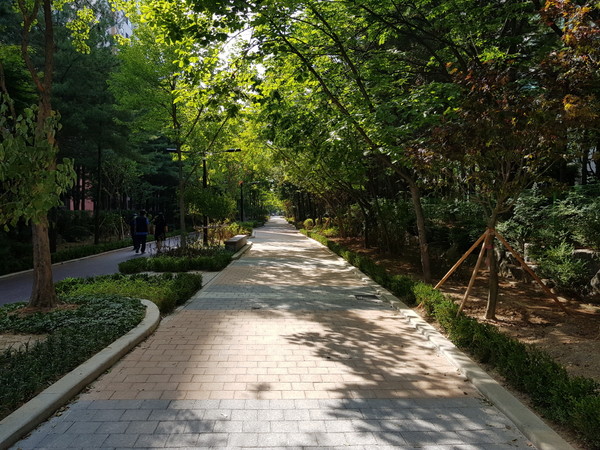 도시와 자연이 어우러지는 고양시를 만들기 위해 시 일대 보행자도로에 ‘도심숲 조성사업’을 진행 중인 후곡 2·5단지 사잇길. (사진제공=고양시청)