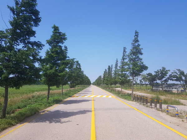 안산시는 휴가철을 맞아 주말이면 많은 방문객이 찾는 대부도 방아머리 일대의 교통체증 해소를 위해 우회로 설치 등 특단의 대책을 추진한다. (사진제공=안산시청)