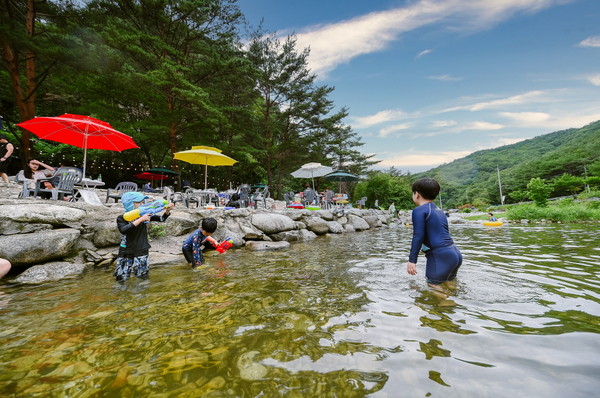 깨끗하게 정리된 포천 백운계곡에서 아이들이 물놀이를 즐기고 있다. (사진제공=포천시청)