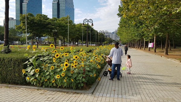 (사진제공=안양시청)