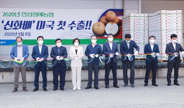 안성시는 8일 안성마춤 농산물 산지유통센터에서 김보라 안성시장과 홍상의 안성원예농협 조합장, 김재기 NH농협무역 대표 등 관계자들이 참석한 가운데 ‘2020년산 안성 ‘신화배’ 미국 수출 선적식’을 가졌다. (사진제공=안성시청)