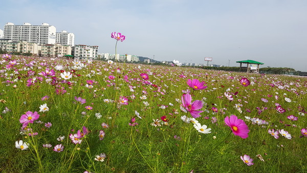 (사진=이복수 기자)