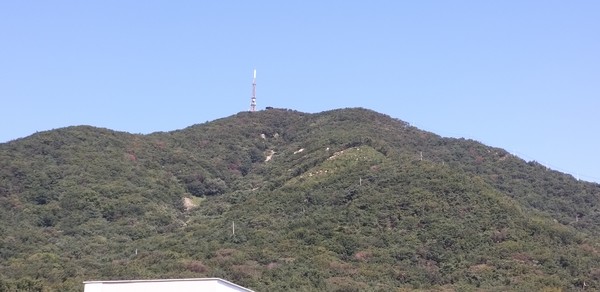 50대 중반 여성이 가출신고 이틀 만에 인천 계양산 중턱 부근에서 숨진 채 발견됐다.