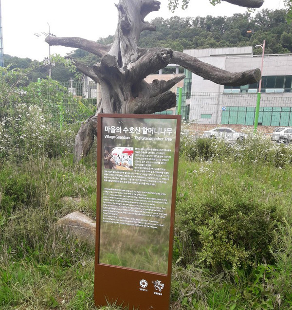 안양시가 만안구 경인교대 앞 공영주차장에서부터 삼막사에 이르는 2.4km구간에 명승 원효대사의 어록을 담은 스토리텔링보드를 설치했다. 사진은 삼막마을 스토리텔링 수호신 할머니나무. (사진=허찬회 기자)