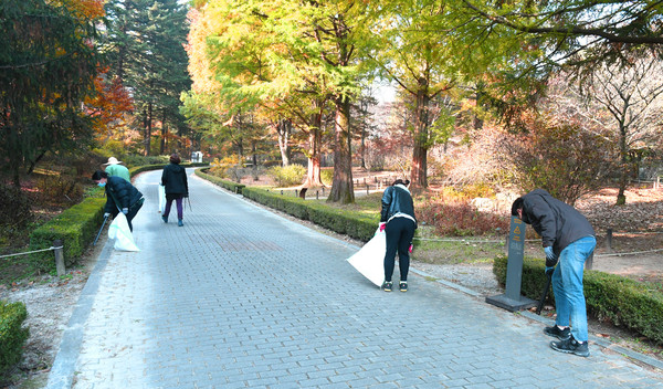 코로나19 확산 방지와 지난여름 장기간의 집중호우, 태풍 등으로 인해 폐쇄됐던 유네스코(UNESCO) 생물권 보전지역인 광릉숲이 일부 구간의 임시 복구를 완료하고, 26일부터 전 구간을 재개방했다.(사진제공=국립수목원)