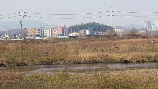 (사진=송석원 기자)