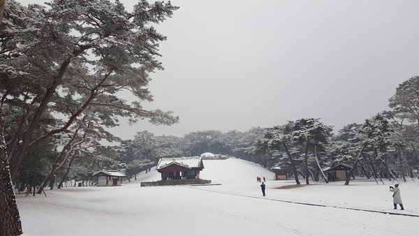 (사진=김광섭 기자)