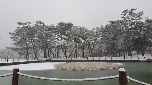 (사진=김광섭 기자)