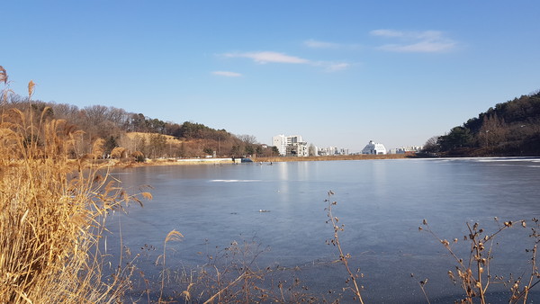 31일 오후, 이틀 연속 맹추위가 이어지면서 이천 설봉호수 전체가 꽁꽁 얼어 있다. (사진=송석원 기자)