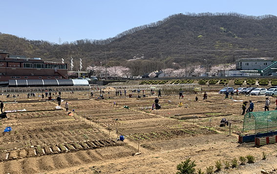 광명시는 시민의 건전한 여가생활을 지원하고자 옥길·밤일 시민농장에 참여할 가족과 단체를 16일까지 모집한다. (사진제공=광명시청)