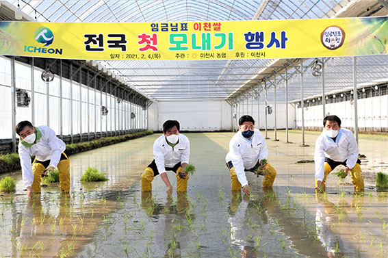 2021년 전국 첫 모내기가 4일 이천시 호법면 안평3리 뜰에서 실시됐다. 사진은 엄태준 이천시장, 정종철 시의회의장, 김영춘 농협시부장, 송영환 장호원농협조합장이 모내기를 하고 있는 모습. (사진제공=이천시청)