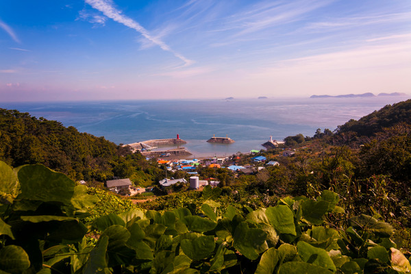 안산시는 야생화의 섬, 풍도 지명을 고유이름인 ‘단풍나무 풍(楓)’ 자를 쓴 ‘풍도(楓島)’로 정식 제정했다. (사진제공=안산시청)