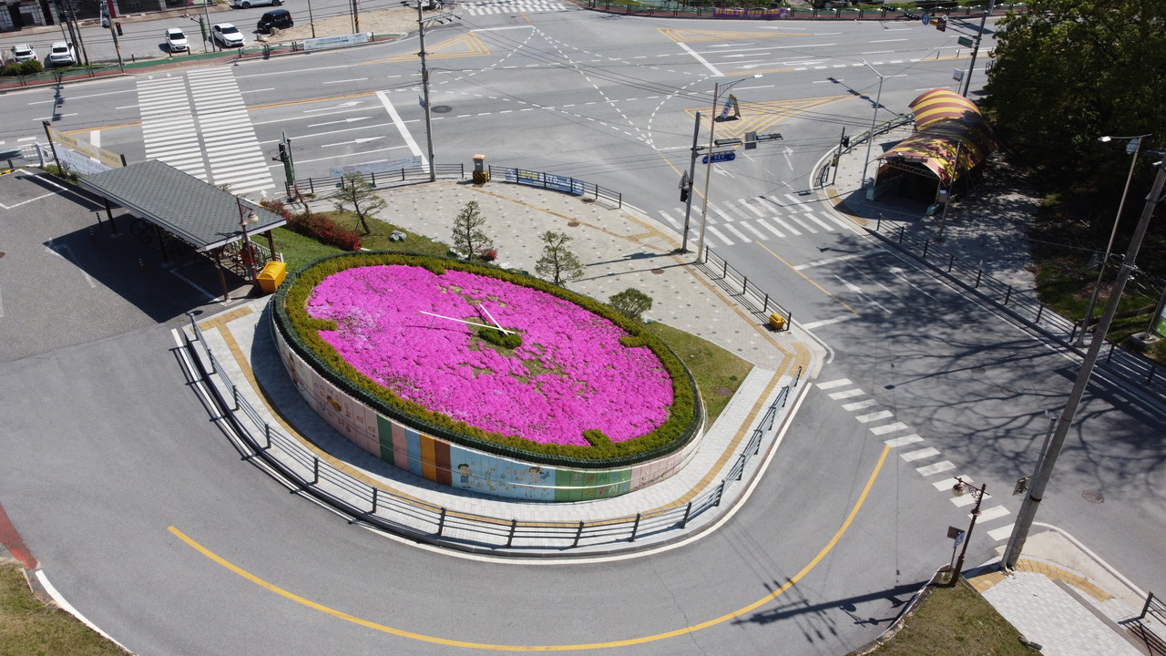 14일 오전 여주종합운동장과 세종도서관 입구에 있는 ‘여주 꽃시계’가 햇살에 환하게 빛나고 있다. (사진=김광섭 기자)