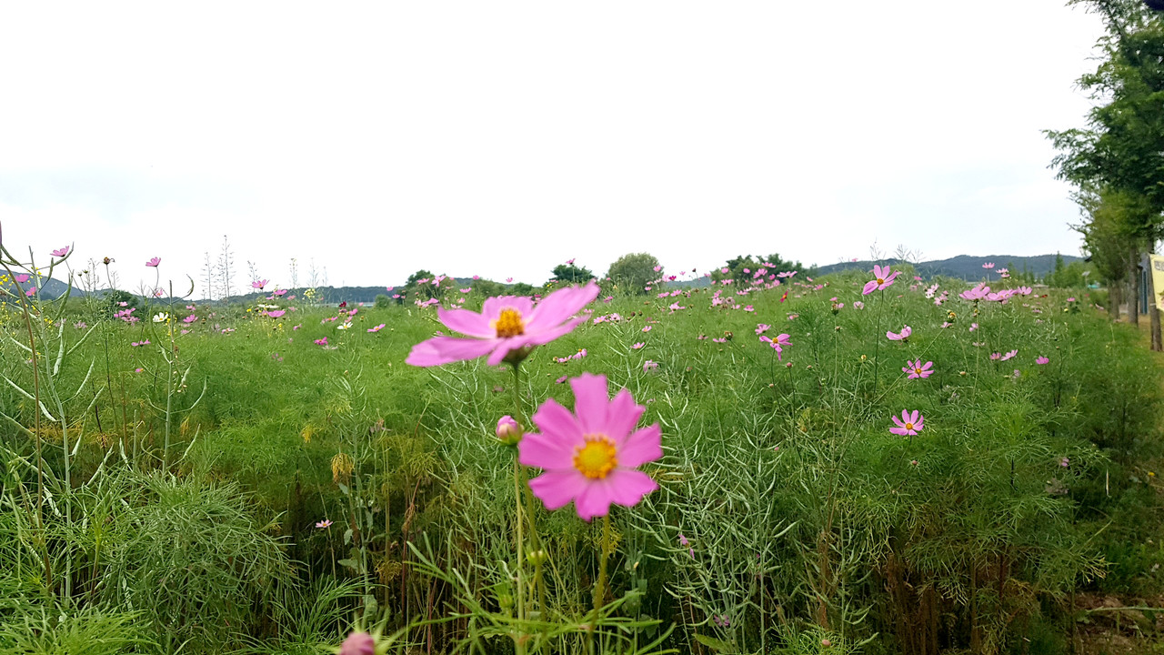 19일 토요일인 오늘 경기도와 인천지역은 맑은 날씨를 보이겠으며, 일부 지역의 기온이 29도까지 오르면서 덥겠다. (사진=중앙신문DB)