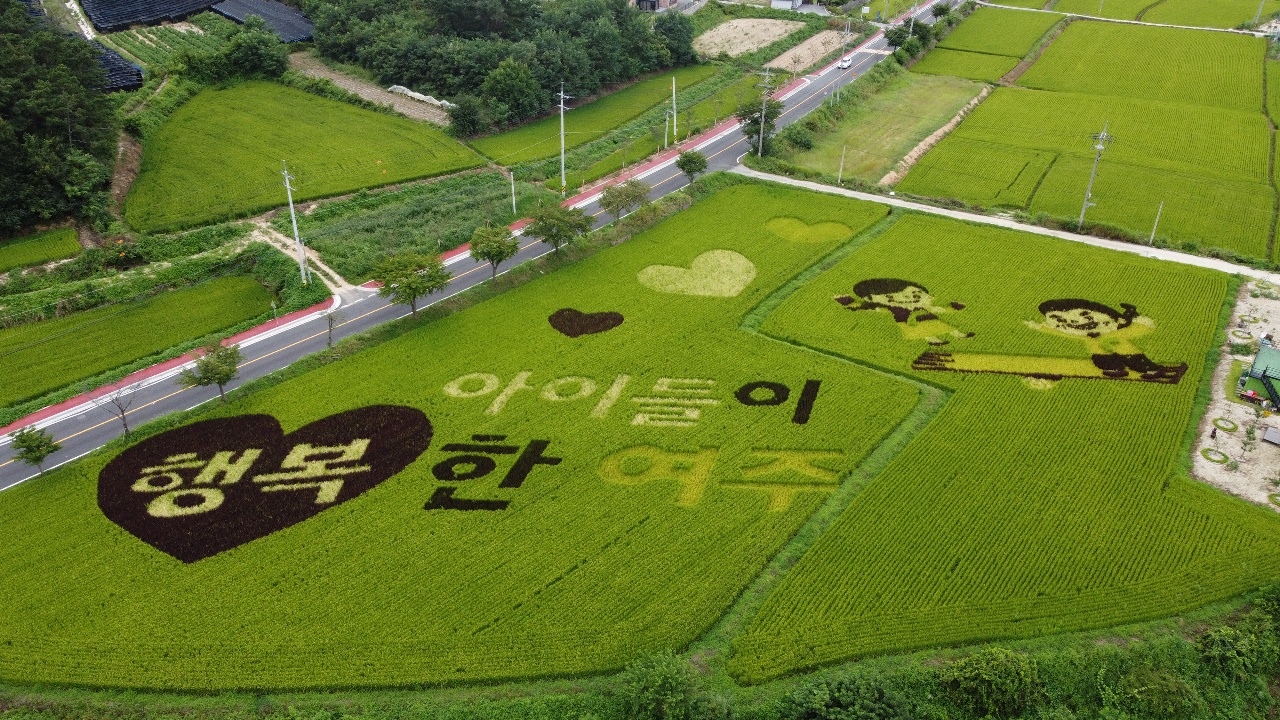 맑은 날씨를 보인 14일 오후 여주시에서 지난봄 모내기철에 준비한 논그림에 '아이들이 행복한 여주' 란 문구가 선명하게 나타나고 있다. (사진=김광섭 기자)