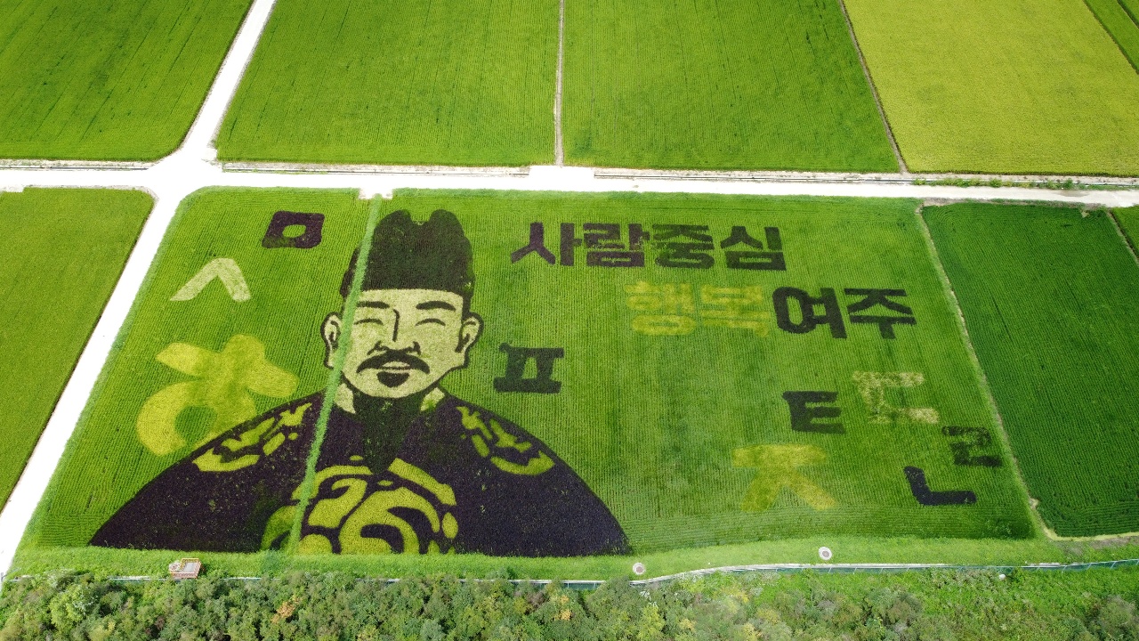 여주시에서 준비한 '사람중심 행복여주' 란 논 그림이 가을로 접어들면서 점점 더 선명해지고 있다. 광복절인 15일 오늘 경기인천지역은 대체로 맑다가 오후에는 구름이 많아 지겠다. (사진=김광섭 기자)