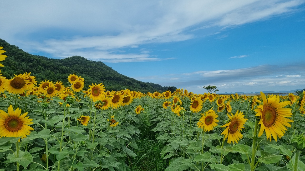 (사진=이복수 기자)