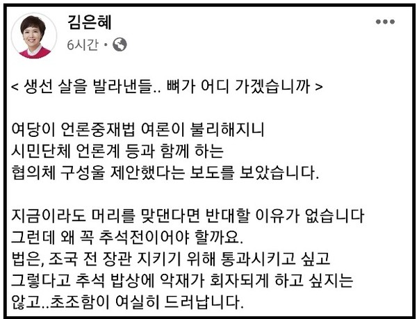 (사진=김은혜 의원 페이스북)