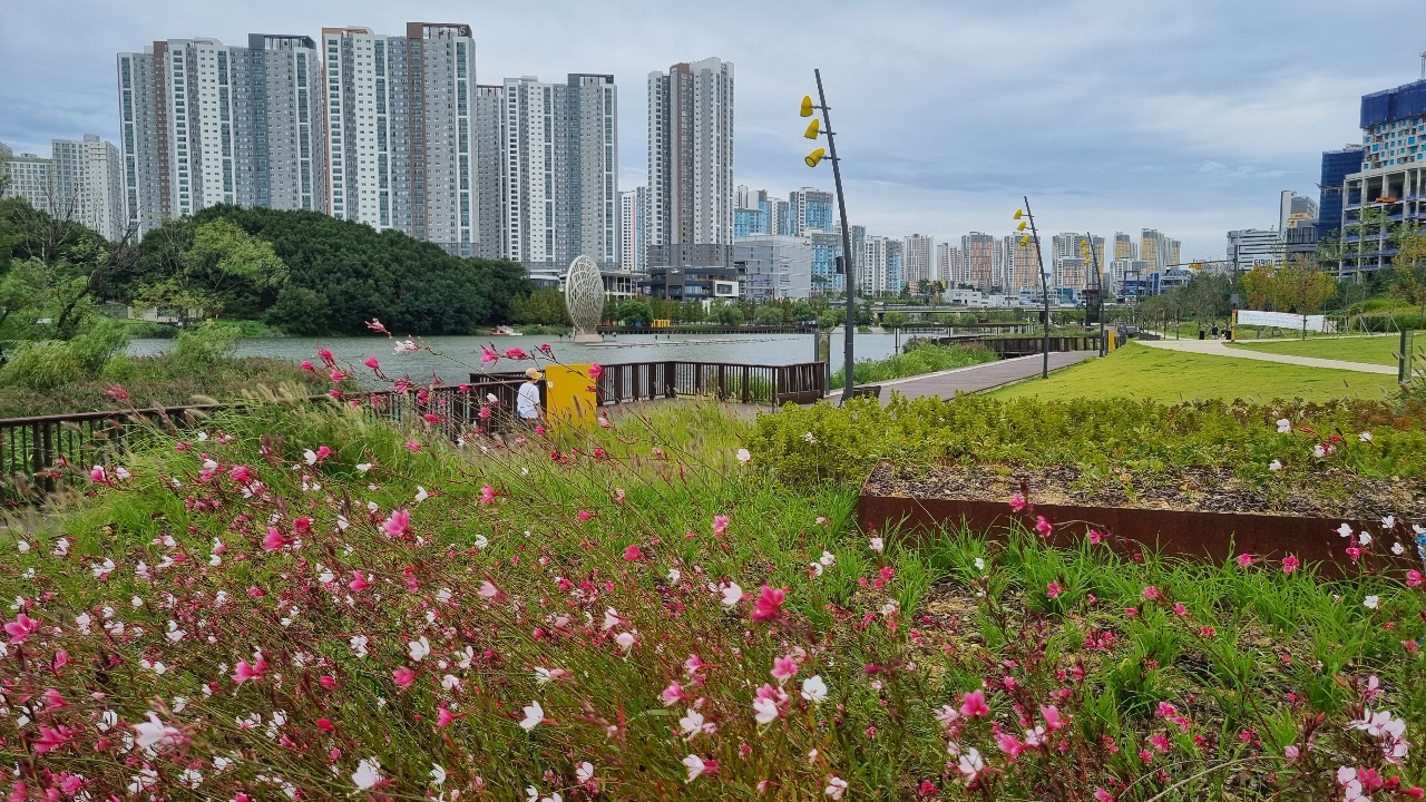 9일 오후 화성 동탄호수 공원에 (사진=김소영 기자)
