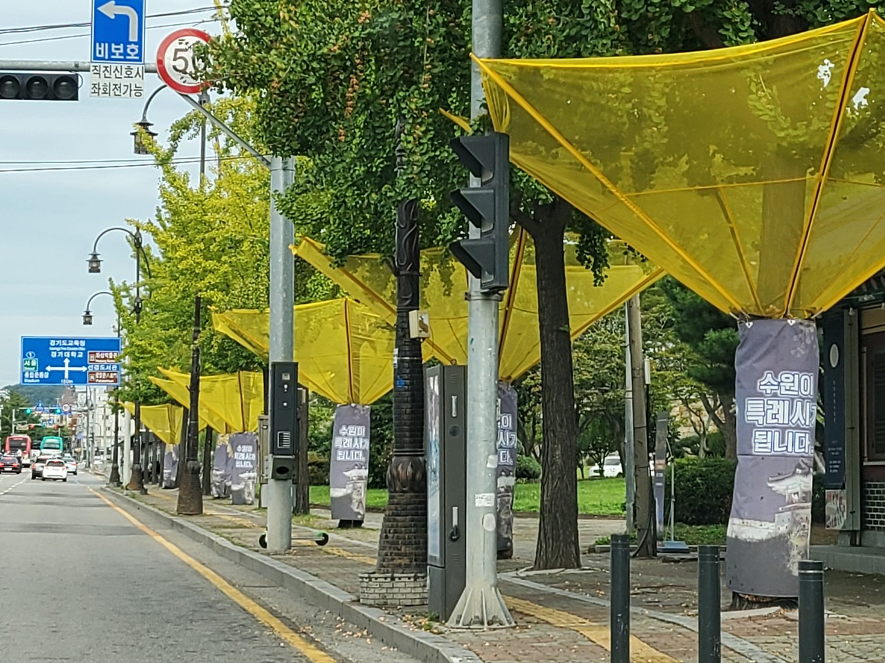 (사진=권영복 기자)