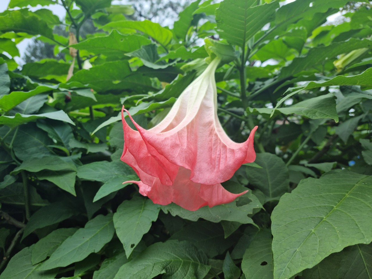 (사진=권영복 기자)