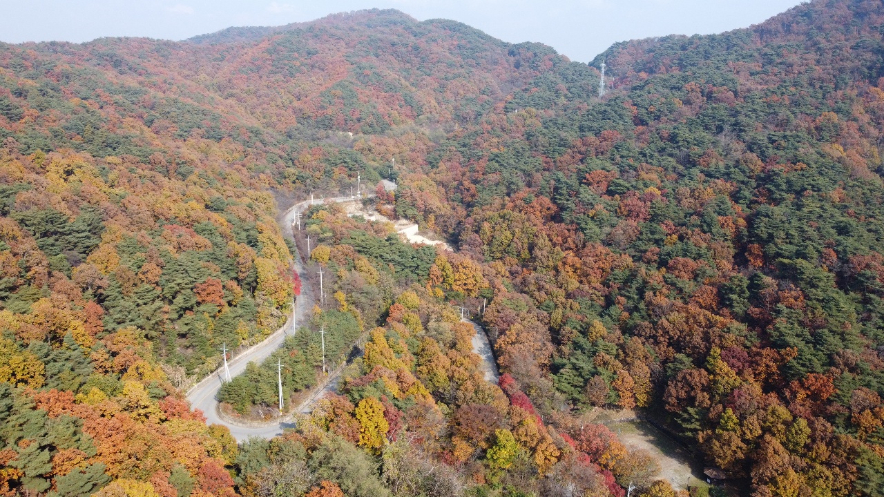 겨울이 시작된다는 입동(立冬)을 5일 앞둔 2일 오후 2시 30분께 여주시 강천면 이호리에서 도전리를 넘어가는 고갯길에 늦가을 정취가 오롯이 담겨있다. (김광섭 기자)