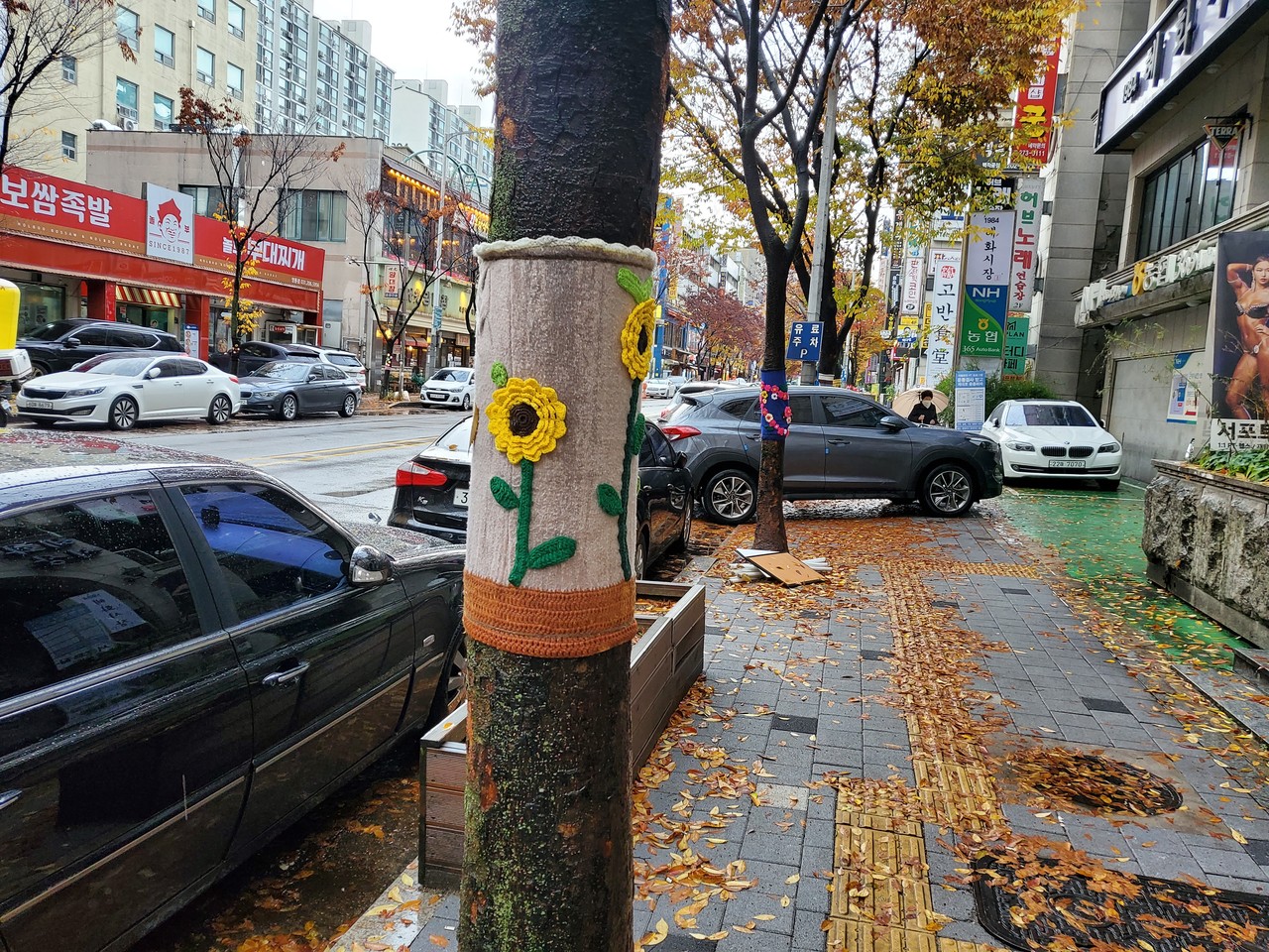 (사진=권영복 기자)